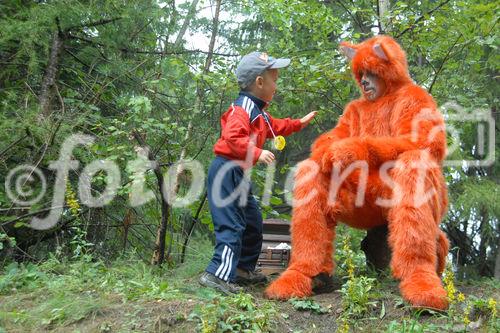 Das neue Schlaraffenland im Zauberwald 