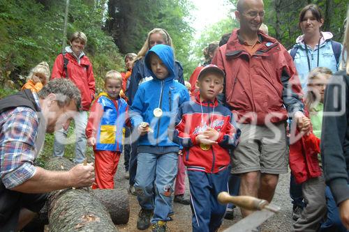 Das neue Schlaraffenland im Zauberwald 