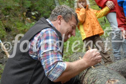 Das neue Schlaraffenland im Zauberwald 