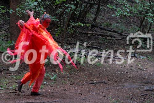 Das neue Schlaraffenland im Zauberwald 