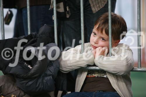 Conrad Electronic lud zum 1. Akkurace ins Ferry Dusika Hallenstadion und der Besucheransturm übertraf alle Erwartungen. 32 Teams ritterten in verschiedenen Kategorien um den Sieg. Beim Bau und Design der Rennflitzer waren seitens des Veranstalters fast keine Grenzen gesetzt. Lediglich der Antrieb durfte durch 2 extrastarke Akkuschrauber von Toolcraft erfolgen. Die Bandbreite der Rennschüsseln war enorm: Die Zuseher feuerten die Fahrer
umgebauter Fahrräder, Trikes, GoKarts & Co. an. Im Doppel KO-System jagten die Teilnehmer durch den Rundkurs. Die Ergebnisse und alle Infos zum Event finden Sie unter www.akkurace.at!