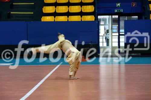 Europäischer Shaolin Wushu Verband präsentiert Shaolin Wushu 30.4.2010 (c) julia fuchs für fotodienst, am Bild: Shaolin Wushu Grundschule