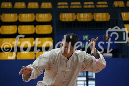 Europäischer Shaolin Wushu Verband präsentiert Shaolin Wushu 30.4.2010 (c) julia fuchs für fotodienst, am Foto: Bagua Form und Anwendung, Meister Zhang Lilin