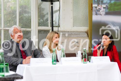 (c) fotodienst / Johannes Brunnbauer | Präsentation des 'T-Mobile Umwelt- und Nachhaltigkeitsfonds' 
Im Bild.vlnr.:
Helmut Pöchlaner, Sascha Walleczek und Monika Langthaler