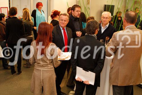 (c) fotodienst/Wolfgang Riepl - Eisenstadt, am 01.02.2012 