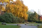 Herbstpracht am Zürichseeufer. Lake Zürich park, colourfull trees, automn