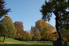 Herbststimmung im Artergut, Park in Zürich, City-park; play-ground, trees, children