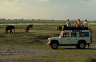 Touristen beobachten vom Landrover aus Elefanten am Flussufer im Okavango-Delta in Botswana, Tourists are discovering Wildlife (elephants) on a Land rover in the Okavango Delta in Botswana