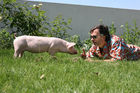 (C) fotodienst/Anna Rauchenberger - Wien, 12.06.2008 - Genuss Profi Weinviertler Schwein