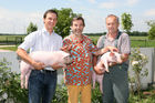 (C) fotodienst/Anna Rauchenberger - Wien, 12.06.2008 - Genuss Profi Weinviertler Schwein