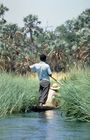 Das Okavango-Delta, der Welt grösstes Binnendelta, ergiesst sich in Botswana's Kalahari und formt ein einzigartiges Naturbiotop und Tierreich in mitten der Wüste. 