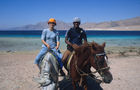 Ägypten, Sinai, Dahab, Lagune, Meer, Küste, Ausritt, Pferde, Reiten, Mann Frau, Surfer, Taucher, WassersportEgypt, Sinai, Dahab, Lagoon, ocean, coast, horseriding, surfers paradies, divers, watersport