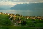 Das Weinanbaugebeit Lavaux am Genfersee zählt seit 2007 zu den Unesco-Weltkulturerbeund offenbart den landwirtschaftlichen Reichtum am den Gestaden des Genfersees.The Wineyards of Lavaux at lake Geneve is listed since 2007 on the Unesco World heritagesand shows the agricultural richness for the farmers as well as the beautyfull landscape