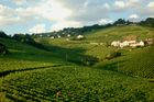 Das Weinanbaugebeit Lavaux am Genfersee zählt seit 2007 zu den Unesco-Weltkulturerbe
und offenbart den landwirtschaftlichen Reichtum am den Gestaden des Genfersees bei der Fahrt mit der Bahn von Vevey nach Lausanne.
The Wineyards of Lavaux at lake Geneve is listed since 2007 on the Unesco World heritages
and shows the agricultural richness for the farmers as well as the beautyfull landscape in between Vevey and Lausanne on the train
