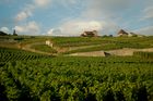 Das Weinanbaugebeit Lavaux am Genfersee zählt seit 2007 zu den Unesco-Weltkulturerbeund offenbart den landwirtschaftlichen Reichtum am den Gestaden des Genfersees bei der Fahrt mit der Bahn von Vevey nach Lausanne.The Wineyards of Lavaux at lake Geneve is listed since 2007 on the Unesco World heritagesand shows the agricultural richness for the farmers as well as the beautyfull landscape in between Vevey and Lausanne on the train
