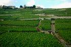 Das Weinanbaugebeit Lavaux am Genfersee zählt seit 2007 zu den Unesco-Weltkulturerbe
und offenbart den landwirtschaftlichen Reichtum am den Gestaden des Genfersees bei der Fahrt mit der Bahn von Vevey nach Lausanne.
The Wineyards of Lavaux at lake Geneve is listed since 2007 on the Unesco World heritages
and shows the agricultural richness for the farmers as well as the beautyfull landscape in between Vevey and Lausanne on the train
