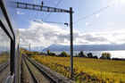 Eine Bahnreise durch das Weltkulturerbe Lavaux mit den gelb-grünen Rebhängen in farbenprächtiger Herbstblüte. A colourfull World Heritage Lavaux in automne where the wine-yards are located above Lake Geneva on the hills