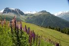 Nature-conservation contra tourism-interests: The valley Anniviers near Sion/Sierre offers a 5 day trip around the swiss alps with five fourthousand meters high mountains such as Weisshorn