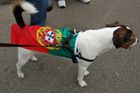 Portugiesischer Fussballfan mit in die Nationalfahne gehüllter Hund vor dem St. Jakobsstadion