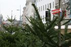 (C) fotodienst/Anna Rauchenberger - Wien 21.12.2006  - Ein Streifzug durch Wien. FOTO: Christbaum, Verkaufsstand Mariahilferstraße beim MQ.