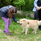 (c) fotodienst / Anna Rauchenberger - Wien, am 26.04.2011 - Das Gesundheitsministerium und der Verein 'Tierschutz macht Schule' präsentierten eine neue Initiative 'Mensch und Tier, aber sicher!' im Schönbrunner Schlosspark. FOTO: Ein Mädchen zeigt, wie man sich Hunden richtig nähert.