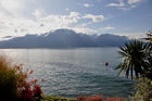 Der Genfersee bei Montreux mit Sicht auf die französischen Berge.