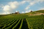 Das Weinanbaugebeit Lavaux am Genfersee zählt seit 2007 zu den Unesco-Weltkulturerbe
und offenbart den landwirtschaftlichen Reichtum am den Gestaden des Genfersees bei der Fahrt mit der Bahn von Vevey nach Lausanne.
The Wineyards of Lavaux at lake Geneve is listed since 2007 on the Unesco World heritages
and shows the agricultural richness for the farmers as well as the beautyfull landscape in between Vevey and Lausanne on the train. 
Für Weinliebhaber: Die Weinkelleradressen der regionalen Gemeinden lauten: www.lutry.ch, www.cavaucorto.ch, www.caveau-cully.ch, www.caveau-epesses.ch, www.chardonee.ch, www.rivaz.ch
