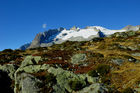 Wanderwege durch die herbstliche Alpenflora auf der Moosfluh/ Riederalp. Trekking path on Moosfluh/Riederalp near Aletschglacier and Fusshorn. 