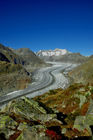 Von der Moosfluh (auf 2333 MüM) oberhalb der Riederalp haben Wanderer und Biker einen herrlichen Blick auf den längsten Gletscher der Schweizer Alpen. From Moosfluh above Riederalp trekkers and bikers have a wonderfull view to the longest melting glacier in the Swiss Alps