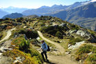 Wanderwege auf der Riederalp. Trekking path on Riederalp 