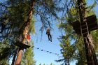 Abenteuer-Parcours im Walliser Wald bei Vercorin mit Hängebrücken und Seilwinden über 100 Meter. Adventure-Park for kids and adults in the forest near Vercorin in the Valley of 