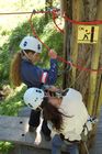 Abenteuer-Parcours im Walliser Wald bei Vercorin mit Hängebrücken und Seilwinden über 100 Meter. Adventure-Park for kids and adults in the forest near Vercorin in the Valley of 