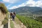 Wandern entlang der Suonen (Wasserkanäle) mit Blick auf das Rhonetal, wo sich das grösste Wein-Anbaugebiet der Schweiz befindet. Mit 5200 ha ist das Wallis der grösste Weinanbau-Kanton der Schweiz. 22'000 Rebberg-Besitzer gibt es hier im Rhonetal mitten in den Alpen. Über 70 Sorten Weinreben gedeihen hier, 50 Mio. Liter werden pro Jahr produziert.  The Valley of Wallis is Switzerlands biggest  wine producer with 5200 ha of terrain in the Swiss alps. 22’000 farmers are producing 50 Mio. liter per year and over 70 different grapes are growing here near Sion, Sierre; perfect for a walk overlooking the wine-yards, the valley and the river
 