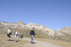 Wanderer auf der Corviglia oberhalb St. Moritz in den Engadiner Alpen. Swiss alps trekking above St. Moritz