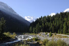 Das Roseg-Tal auf der Bernina Bahnfahrt zum Hopsitz. The Valley of Roseg on the way with the Bernina railway train to Posciavo