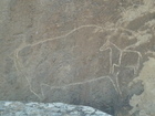 Die bis zu 30.000 Jahre alten Felszeichnungen (Petroglyphen) von Qobustan bieten einen Einblick in die Lebensweise der hier lebenden Menschen von der Jungsteinzeit bis zur Zeitenwende. Im Bild: Urochsen.

Die Kaukasusrepublik Aserbaidschan hat viele Highlights für Besucher zu bieten, Naturwunder wie brennende Berge und Schlammvulkane, jahrtausende alte Felszeichnungen aus der Urzeit des Menschen, antike Feuertempel und Paläste aus tausendundeiner Nacht, Nationalparks für Vogelbeobachter ebenso wie moderne Hotels an den weiten Sandstränden des Kaspischen Meeres. Jetzt will das Land auch touristisch in die Offensive gehen.
