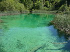 Die Plitvicer Seen in Kroatien zählen zu den größten und schönsten Nationalparks Europas. Offiziell 1949 gegründet wurde das knapp 300 km2 große Gebiet im hügeligen Karstgebiet unweit der Grenze zu Bosnien-Herzegowina 1979 als eines der ersten Naturdenkmäler weltweit in das UNESCO-Weltnaturerbe aufgenommen. Zu Ostern 1991 begann hier der Jugoslawien-Krieg mit blutigen Auseinandersetzungen zwischen serbischen Aufständischen und kroatischen Spezialeinheiten. Heute besuchen den Park jährlich etwa 900.000 Besucher. 