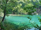 Die Plitvicer Seen in Kroatien zählen zu den größten und schönsten Nationalparks Europas. Offiziell 1949 gegründet wurde das knapp 300 km2 große Gebiet im hügeligen Karstgebiet unweit der Grenze zu Bosnien-Herzegowina 1979 als eines der ersten Naturdenkmäler weltweit in das UNESCO-Weltnaturerbe aufgenommen. Zu Ostern 1991 begann hier der Jugoslawien-Krieg mit blutigen Auseinandersetzungen zwischen serbischen Aufständischen und kroatischen Spezialeinheiten. Heute besuchen den Park jährlich etwa 900.000 Besucher. 