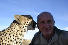 Der Farmer beim Spielplatz der Giganten zog vier Geparde auf und hat ein inniges Verhältnis zu den Raubkatzen. The farmer near Giaqnts playground has rising up four cheetahs and loves them very much. And the cats respond. 