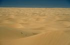 Eiskalter Trip durch Namibias Wüsten: Ein Sandmeer bis weit über den Horizont hinaus. Die Temperaturen sinken nach Sonnenuntergangg drastisch bis zur Nullgradgrenze hinunter. www.namibia-tourism.com