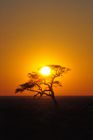 Kurz vor Sonnenuntergang ist das Licht am Schönsten und die Konturen der Wüste nehmen kontrastreiche Züge an. 
www.namibia-tourism.com