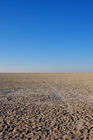 Sand, Salzkruste, Savanne: DIe Etosha Salzpfanne. Sand salt and savannah - the etosha salt pans in Namibia