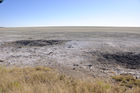 Die Naturlandschaft und Vegetation am Rande der Salzpfanne des Etosha Nationalparks. NNature, landscape and vegetation of the Etosha Pan