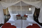 Ein Himmelbett mit Blick auf das endlose Sternen-Firmament über dem Horizont der Etosha-Pfanne: Onkoshi Camp Luxus-Lodge