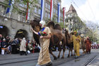 Die Kamele der Zunft Kambel stolzieren am Zürcher Sechseläuten-Umzug durch die Bahnhofstrasse. 