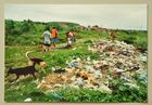 Seuchenherde, wie diese offene Abfalldeponie, breiten sich rund um die Favelas rasend schnell aus und schaden so der Gesundheit von Mensch und Tier.