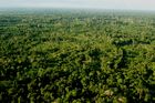In der gründen Lunge der Erde, der Amazonasregion, verschwinden alle zwei Sekunden ein Stück Wald von der Größe eines Fussballfeldes. 