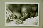 Die hohe Kindersterblichkeit in Afrika ist eine Tragödie. Nicht nur mangelnde Ernährung und Hygiene, auch die Malaria tötet täglich hunderte von Kindern. Senegalesischer Säugling an der Brust seiner Mutter in M'Bour.