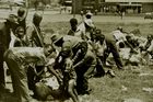 Eine Kuh wird am Rande einer Straße in Soweto geschlachtet. 1986 gab es noch keine Supermärkte. 