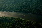 In der gründen Lunge der Erde, der Amazonasregion, verschwinden alle zwei Sekunden ein Stück Wald von der Größe eines Fussballfeldes. 